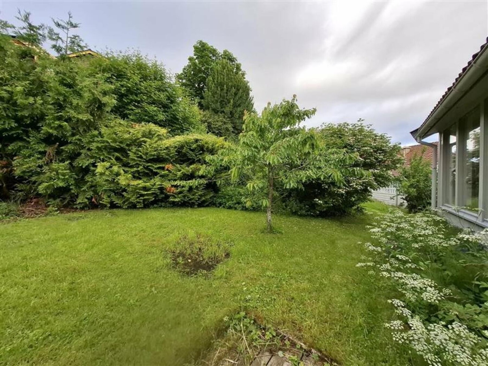 Selgers egne bilder av hagen. Galleribilde