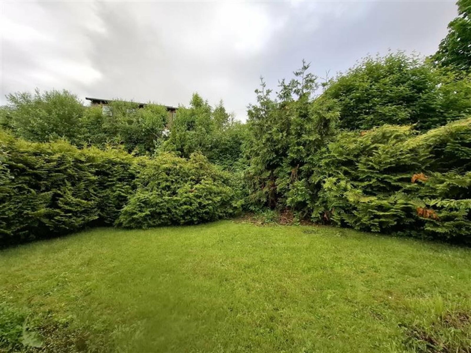 Selgers eget bilde. Galleribilde