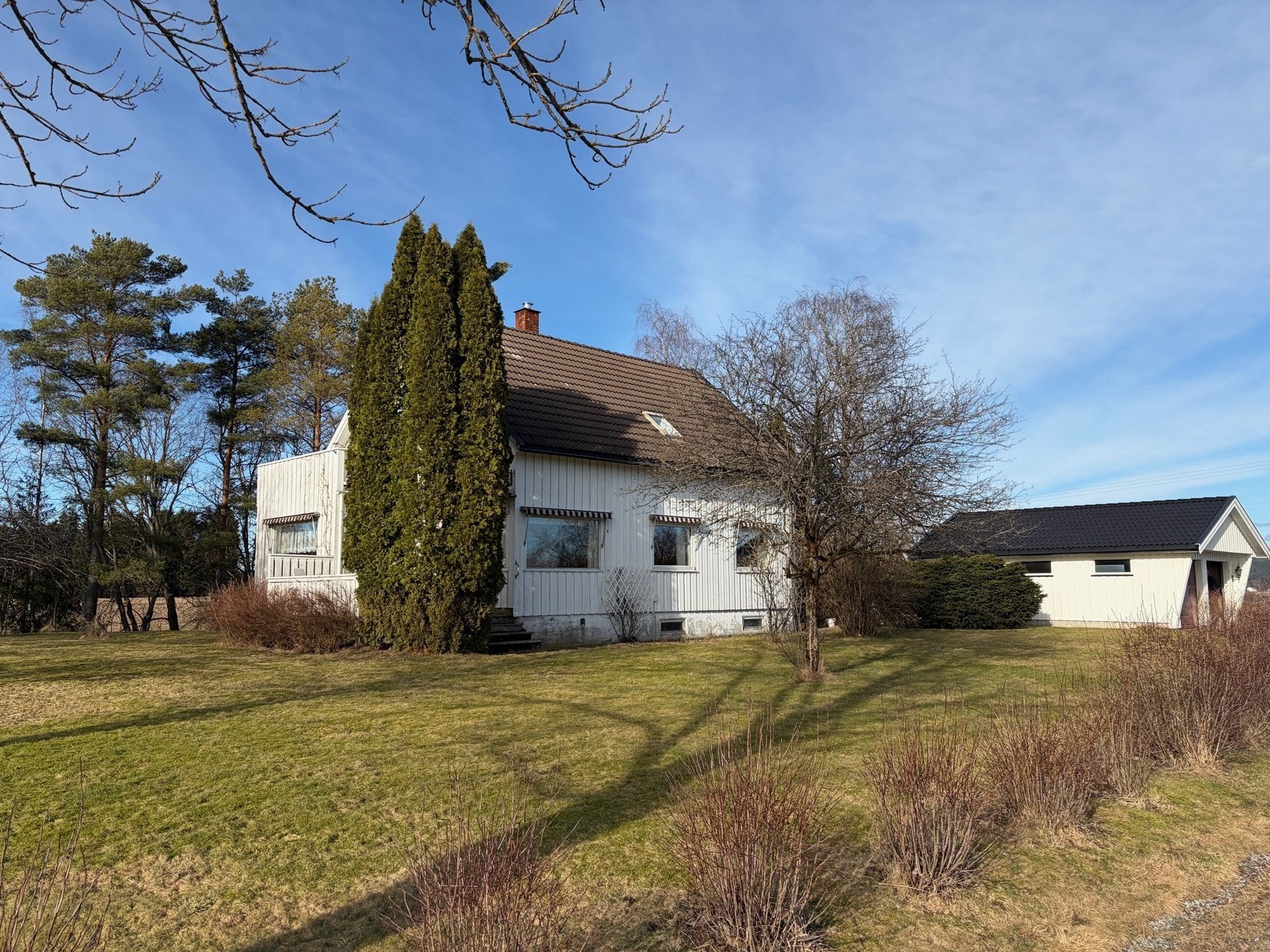 Sett billedbeskrivelse Galleribilde