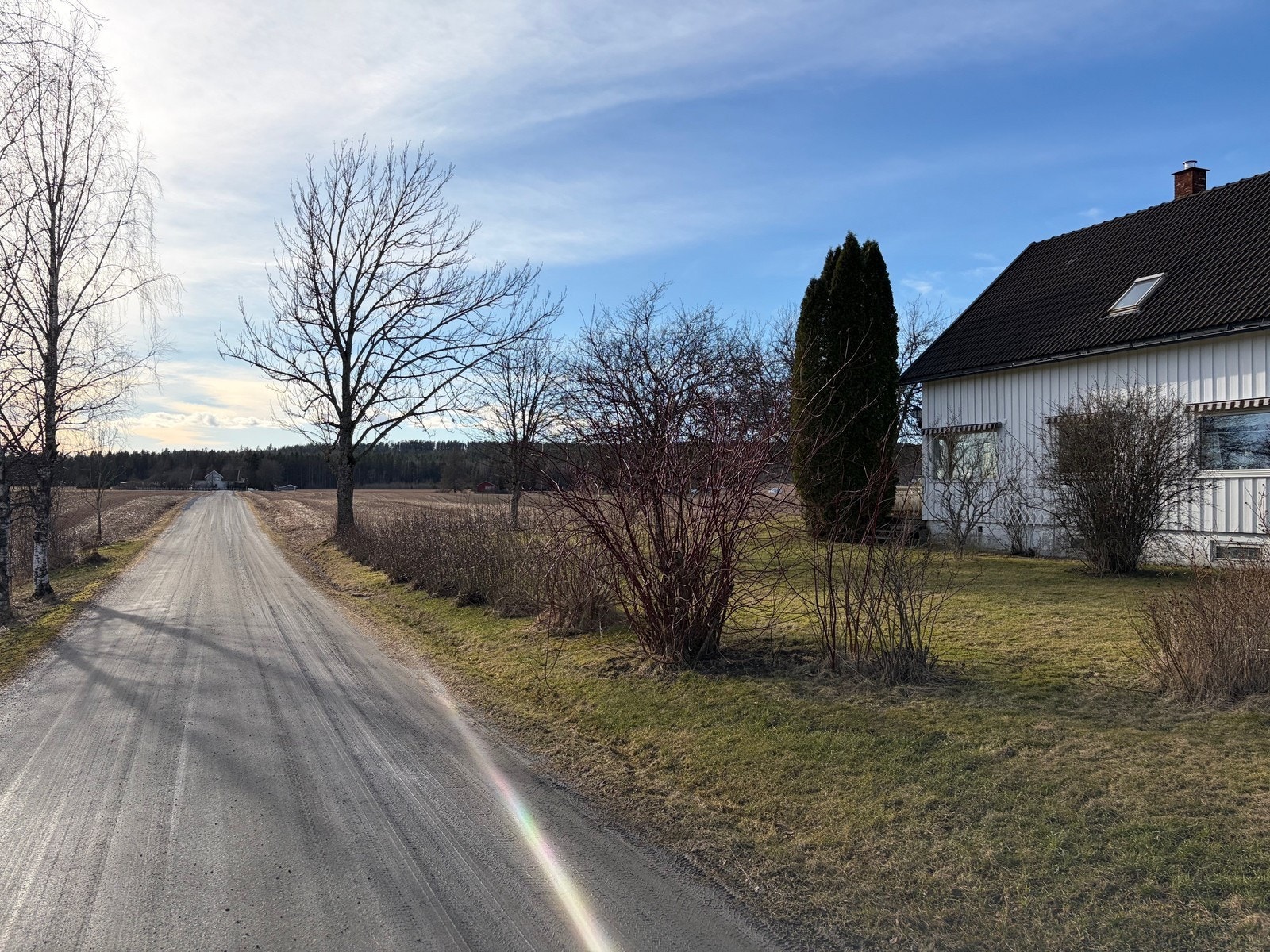 Sett billedbeskrivelse Galleribilde
