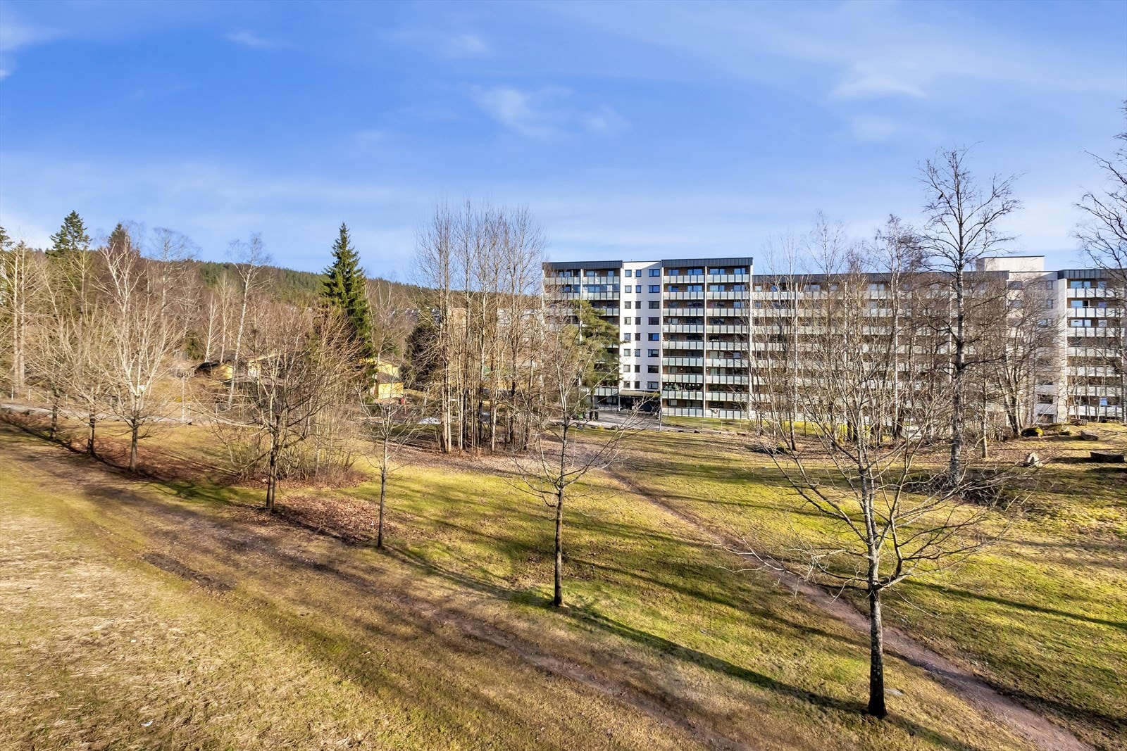 Frodig og rolig utsyn fra terrassen. Galleribilde