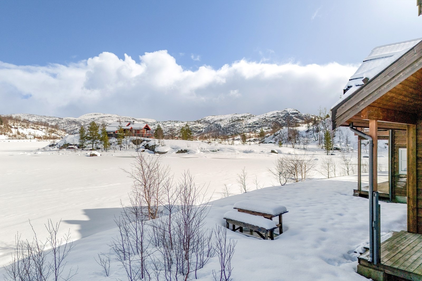 Nærområde Galleribilde