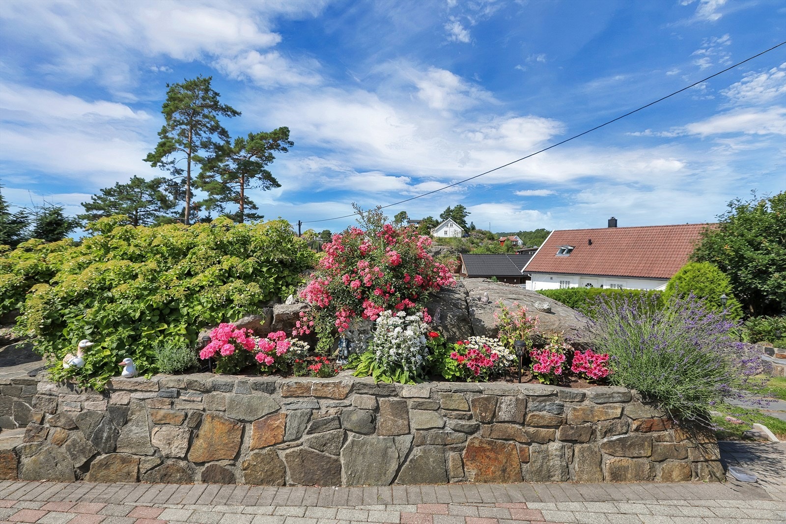 Selgers eget bilde Galleribilde