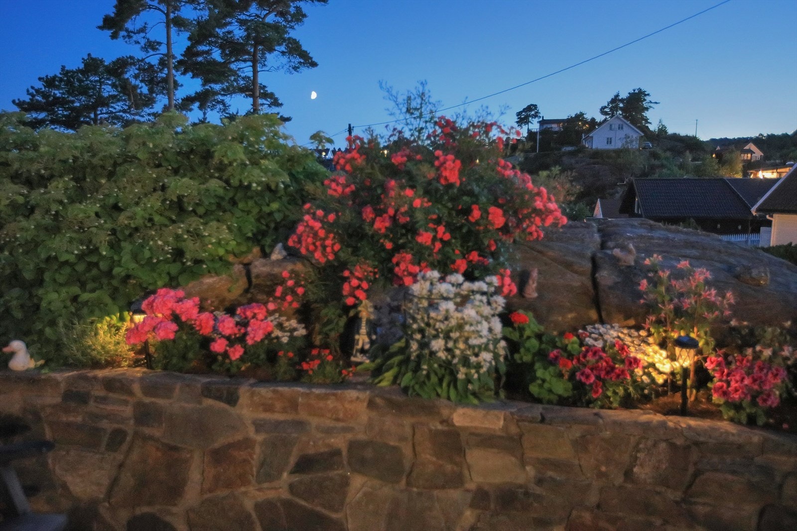 Selgers eget bilde Galleribilde