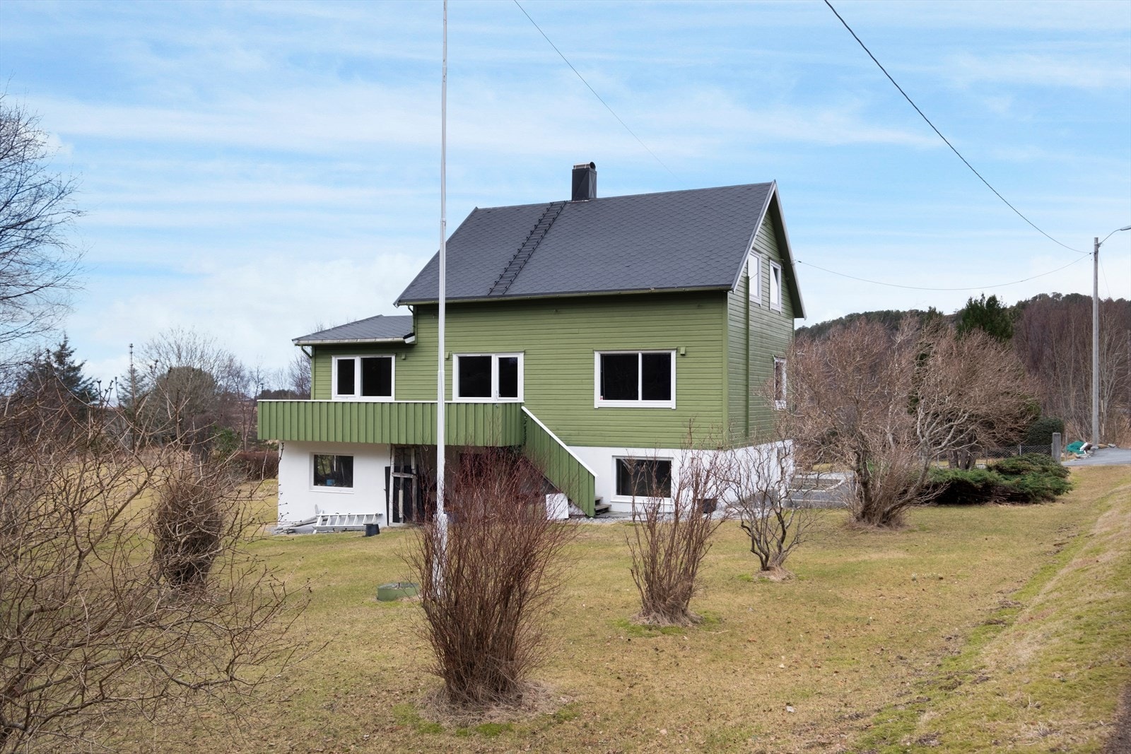 Flott enebolig Galleribilde