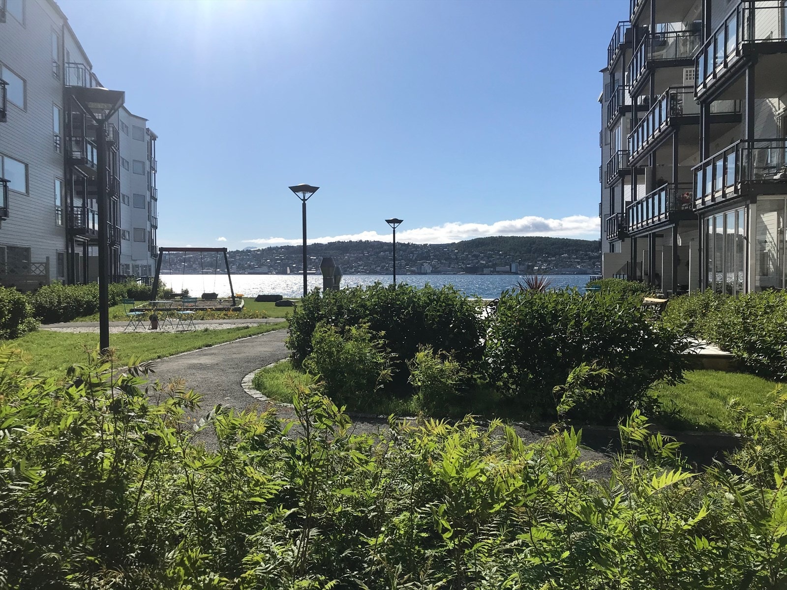 Sommerbilde 2 Galleribilde