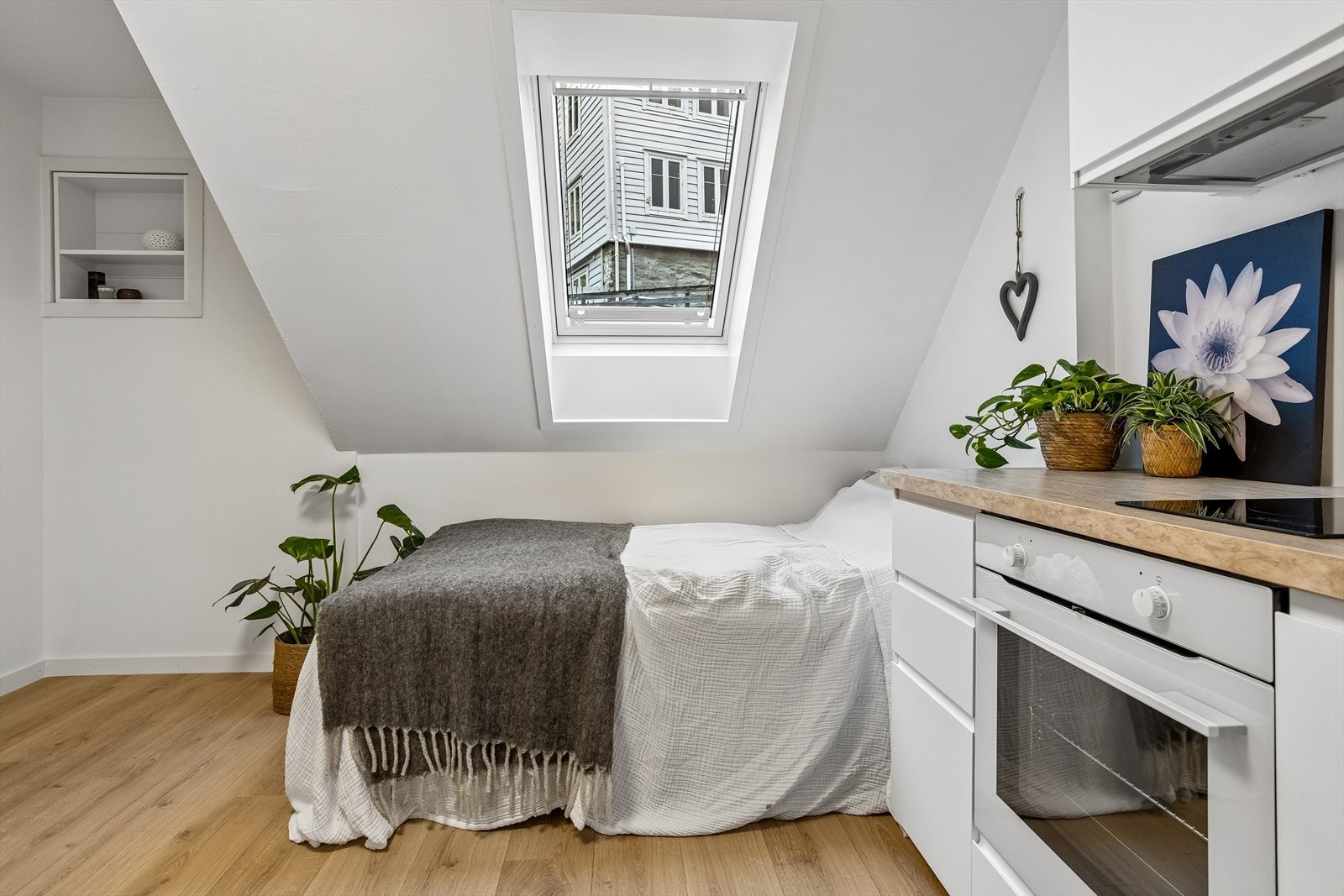 Det store Velux-takvinduet ble installert for drøyt to år siden og slipper inn godt med dagslys. Galleribilde