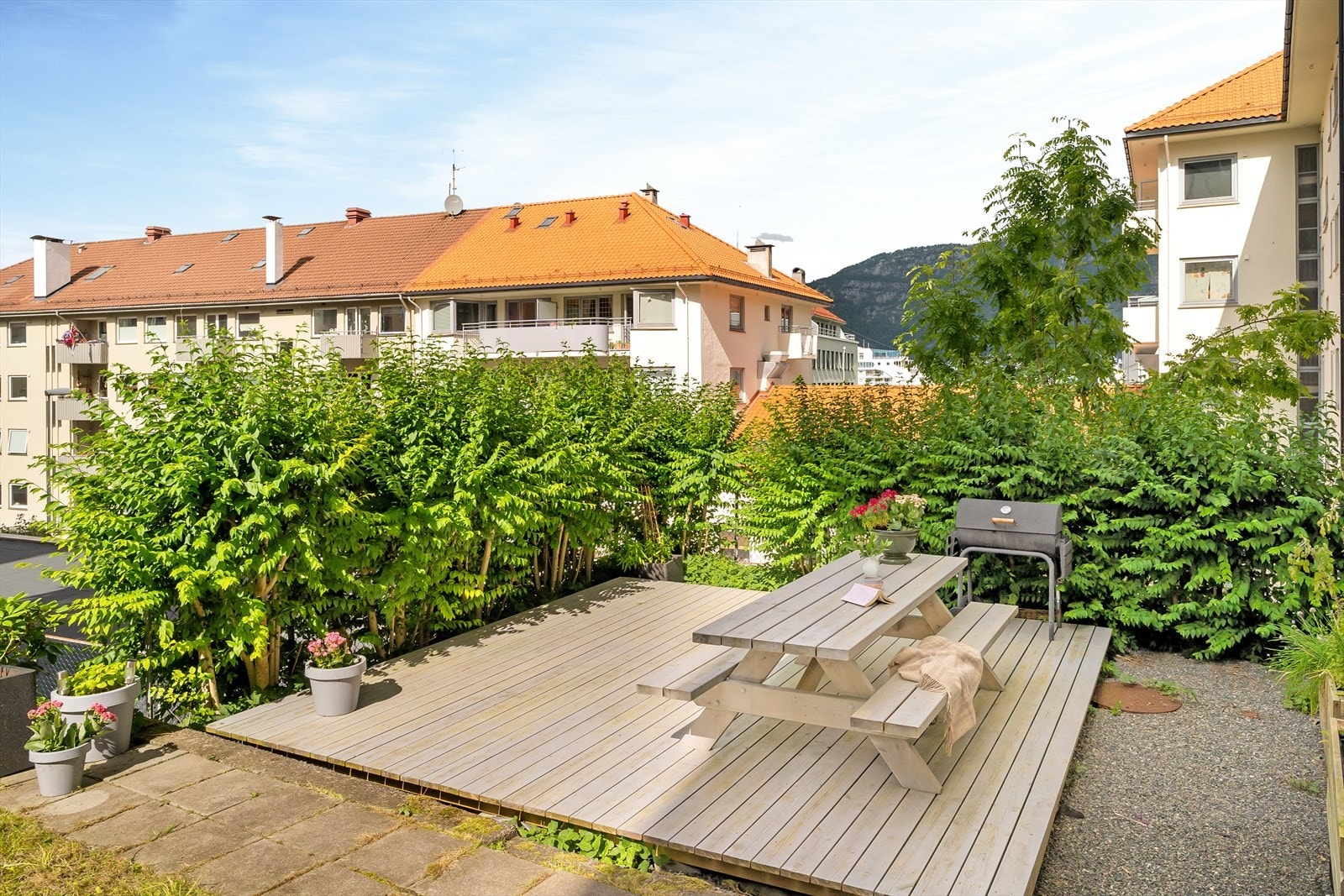 - Koselig felles bakhage - Galleribilde
