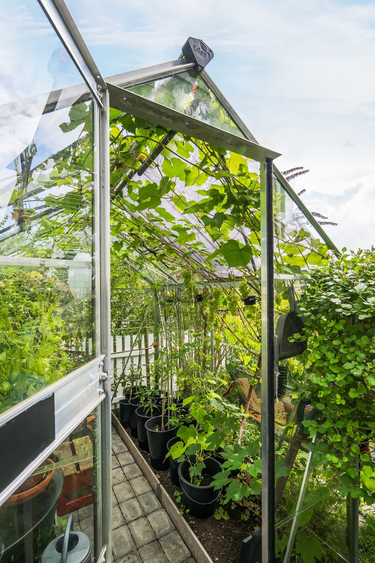 Her ser vi det ene drivhuset sommeren 2025 Galleribilde