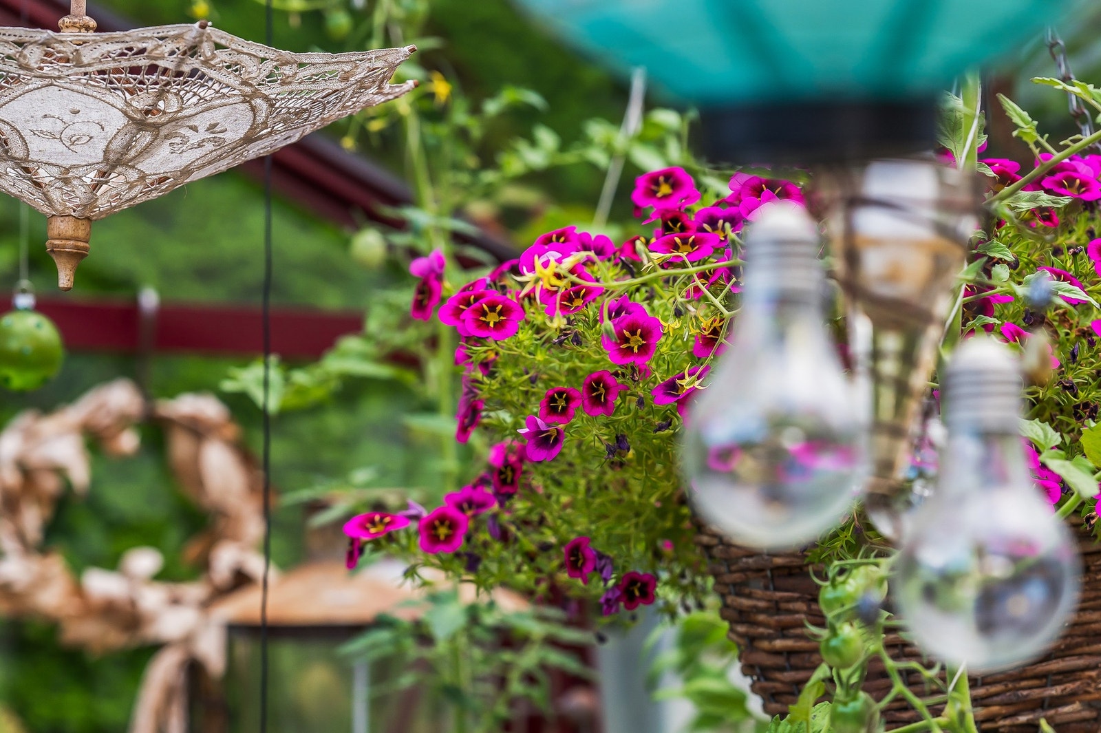 Hagen i full flor Galleribilde