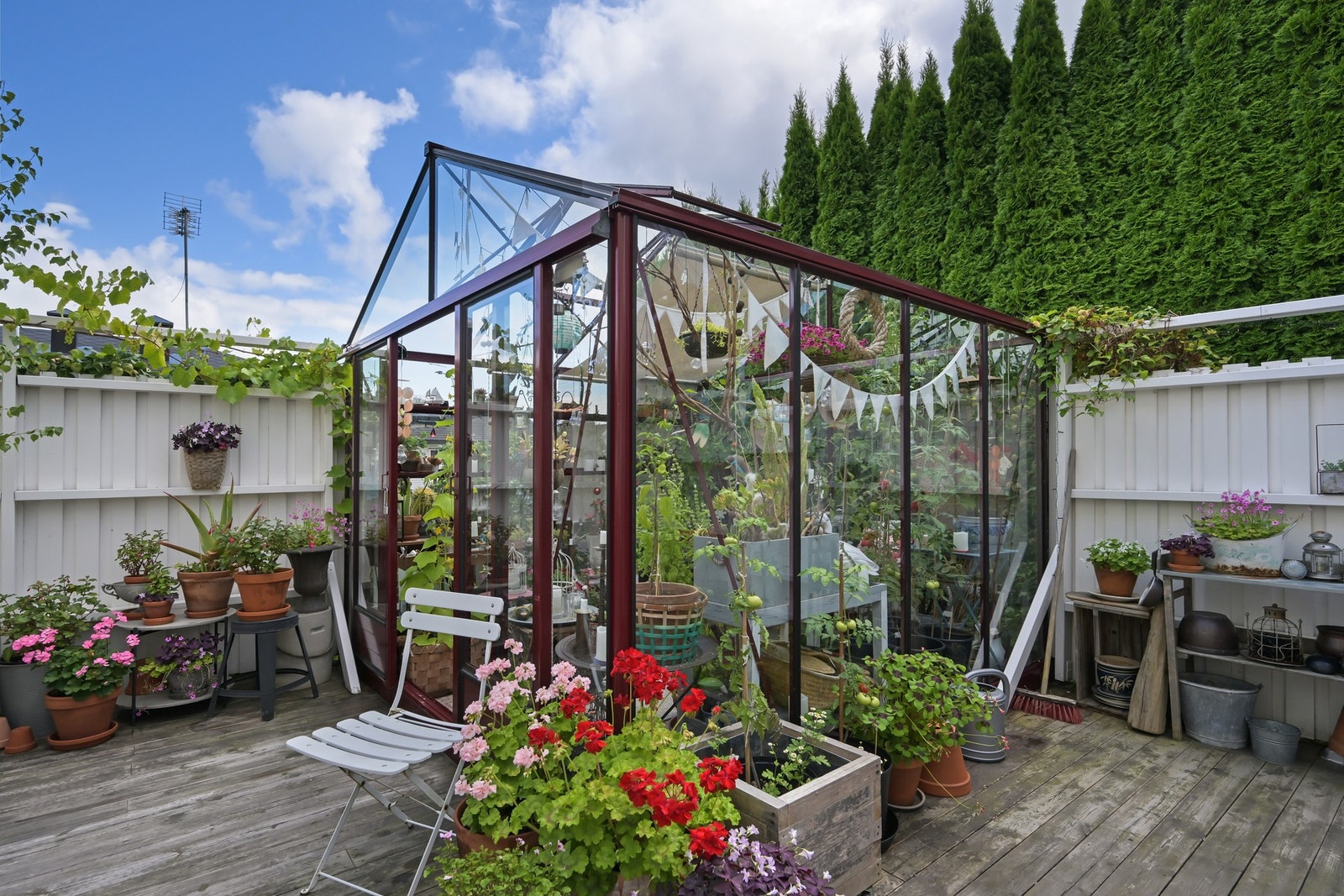 En frodig oase midt i sentrum med to drivhus Galleribilde