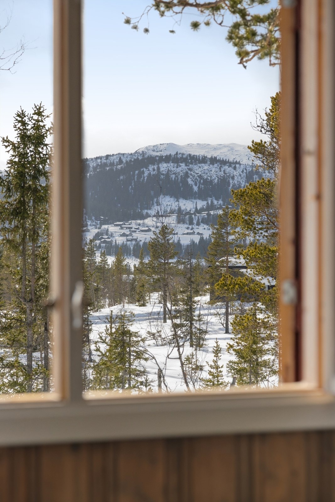 Nydelig utsikt til nærområde og fjellene. Galleribilde