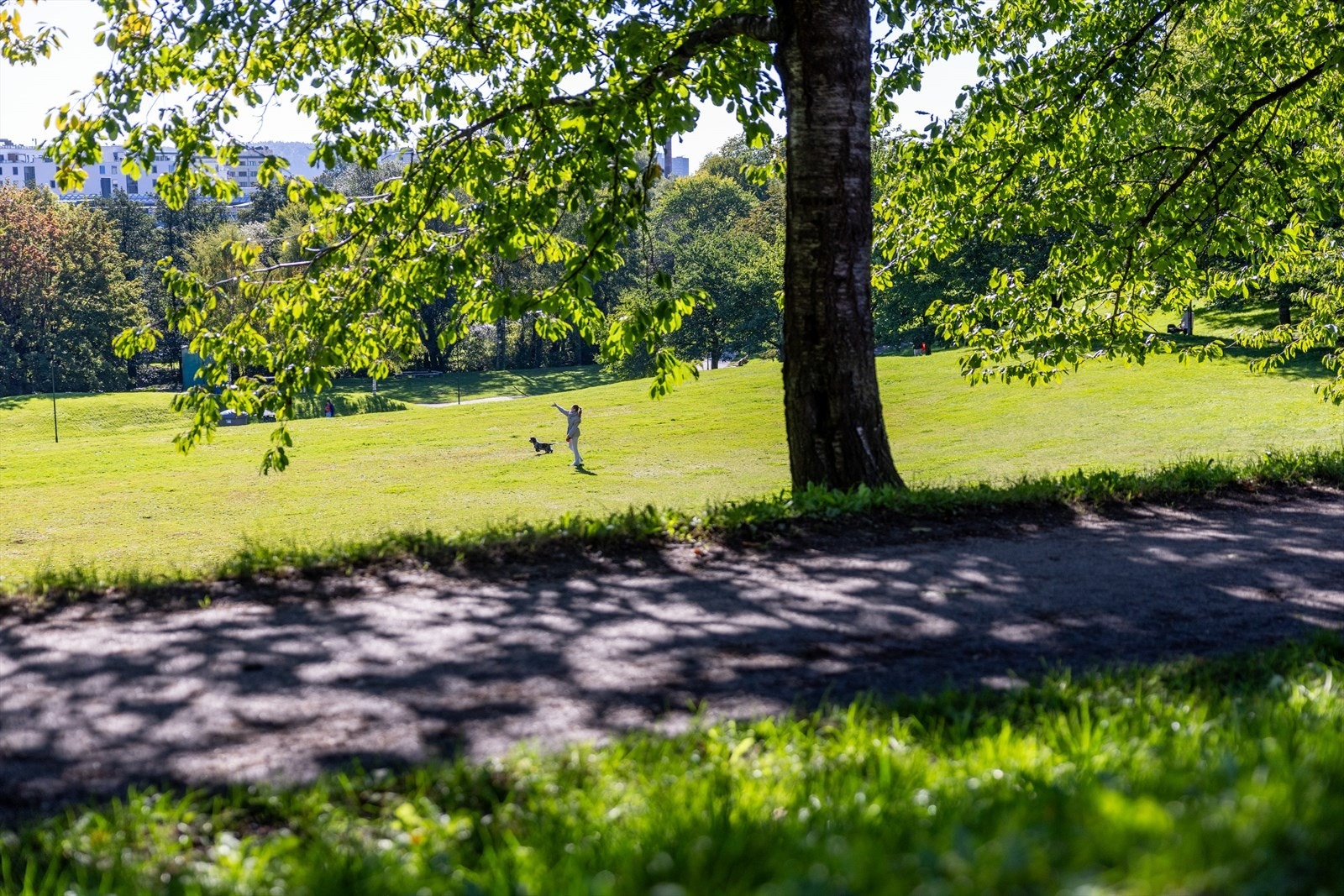 Parken byr på flotte tur- og sykkelstier, åpne gressflater, lekeområder og rolige soner som egner seg godt for både rekreasjon og aktivitet - året rundt. Galleribilde