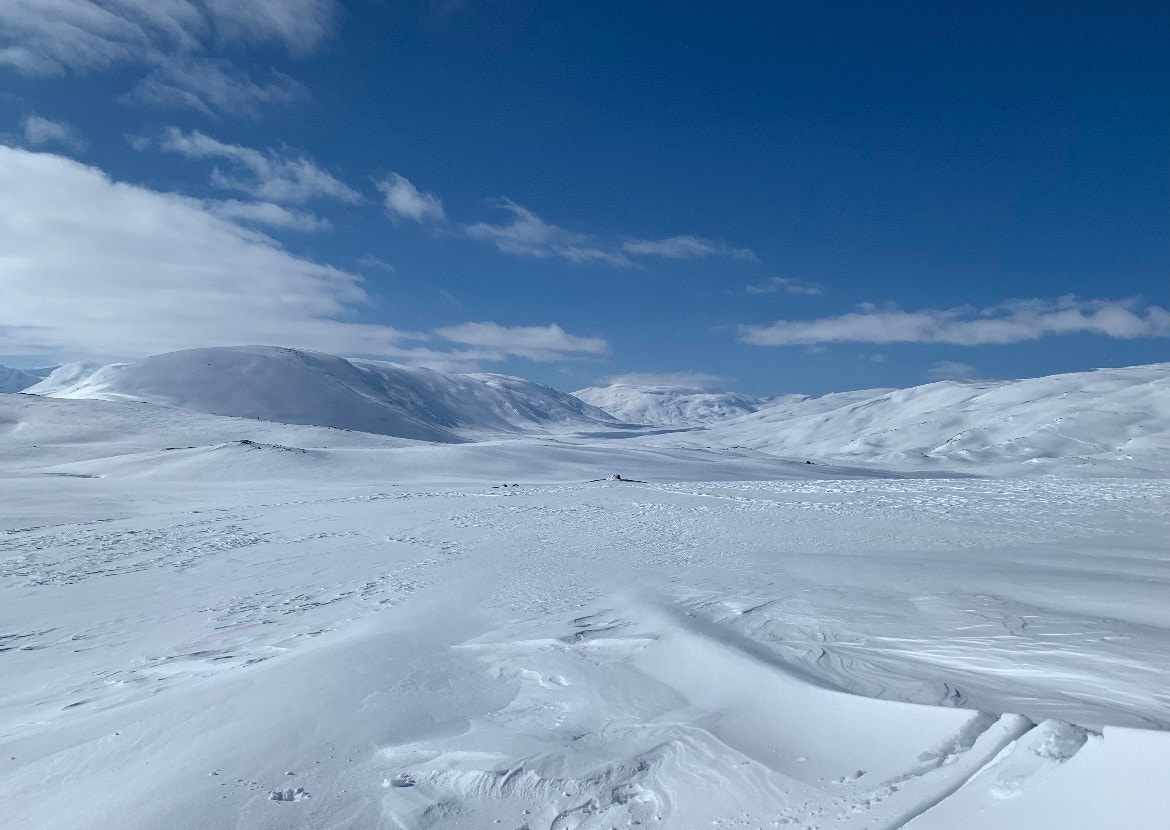 Selgers bilde. Galleribilde