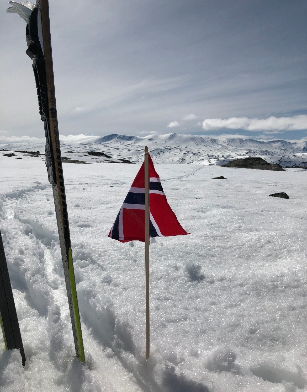 Selgers bilde - Topptur den 17. mai. Galleribilde