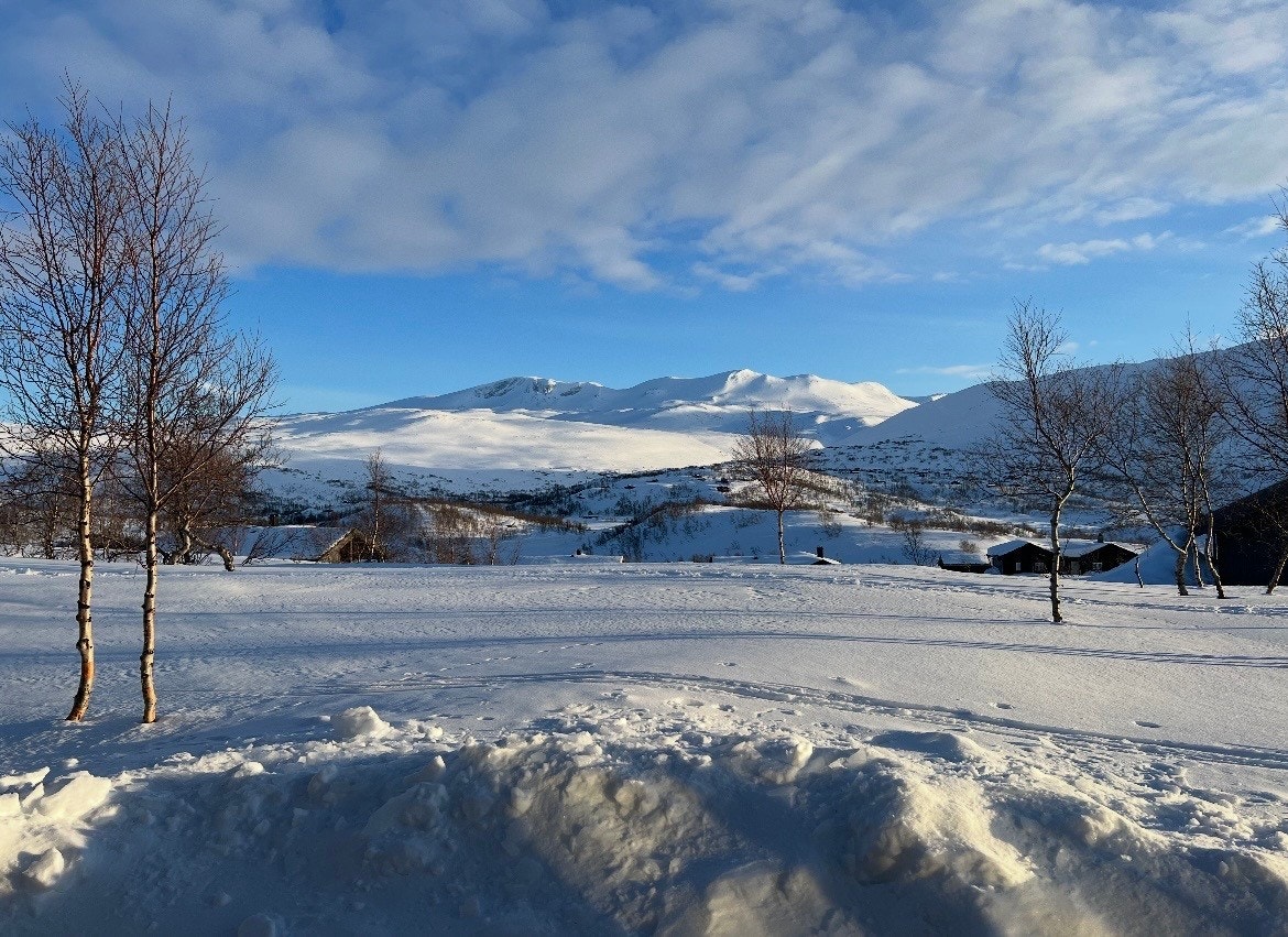 Selgers bilde - Utsikt fra hytta mot Skridlaupen 1962 m.o.h. Galleribilde
