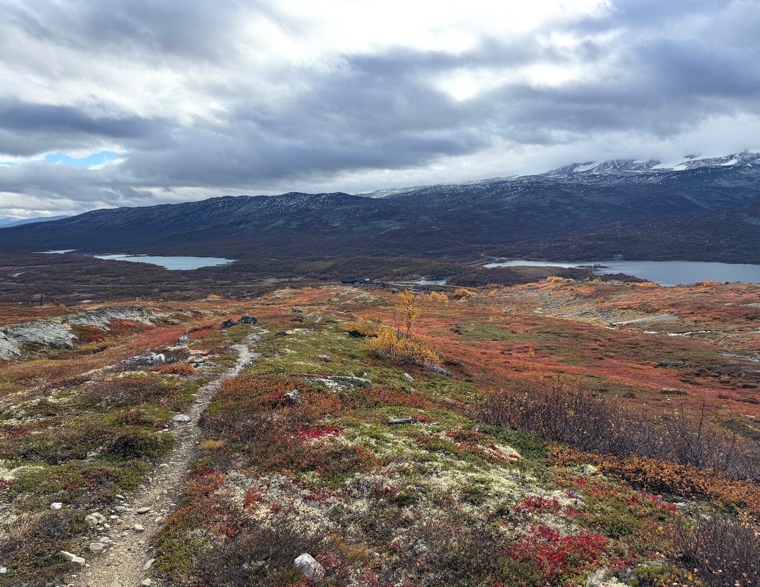 Selgers bilde. Galleribilde