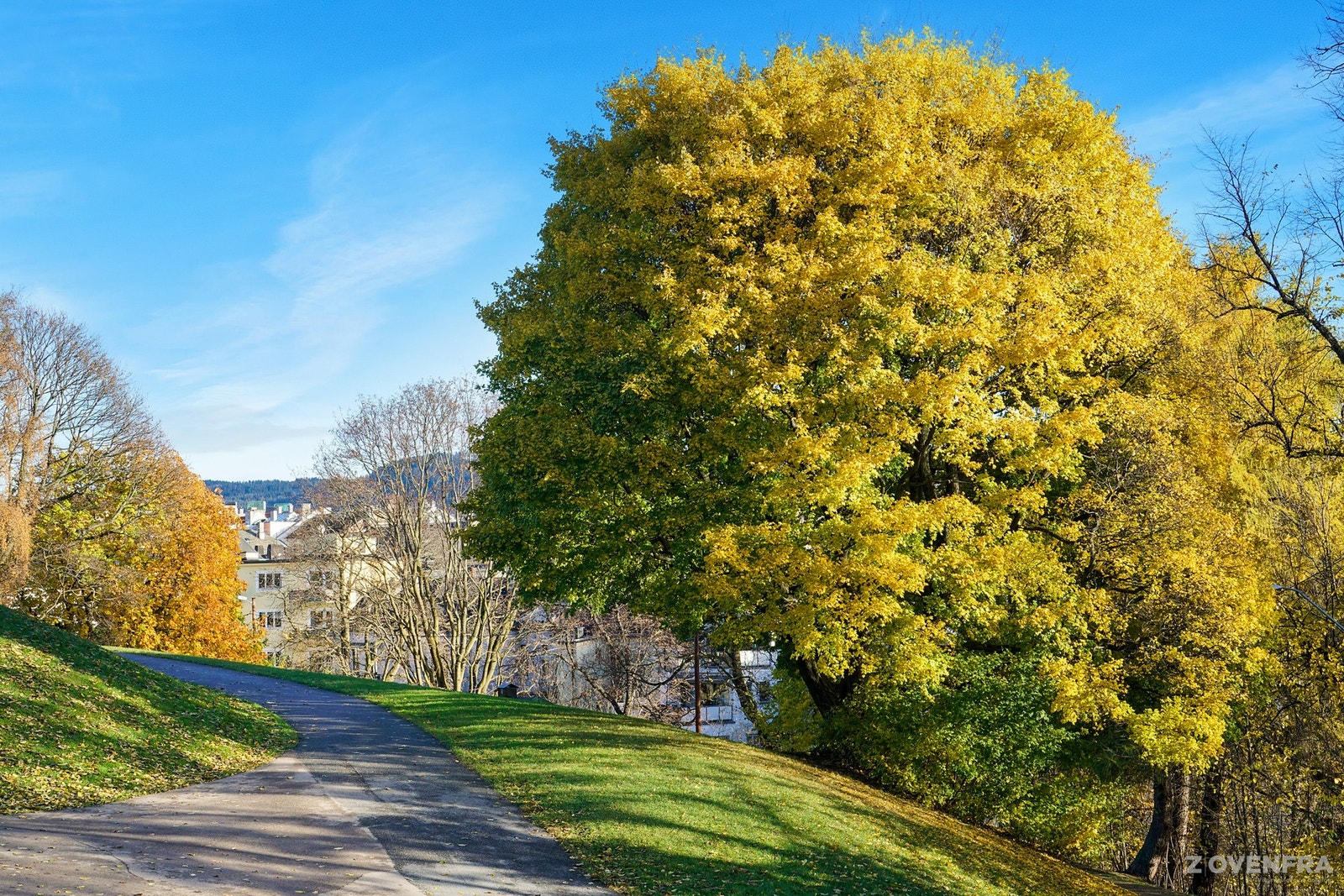 Stensparken ligger rett utenfor leiligheten og blir en naturlig forlengelse av nærområdet. Parken byr på store grønne plenområder, trær og hyggelige gangstier, perfekt for alt fra rolige spaserturer til en joggetur eller en kaffe i solen Galleribilde