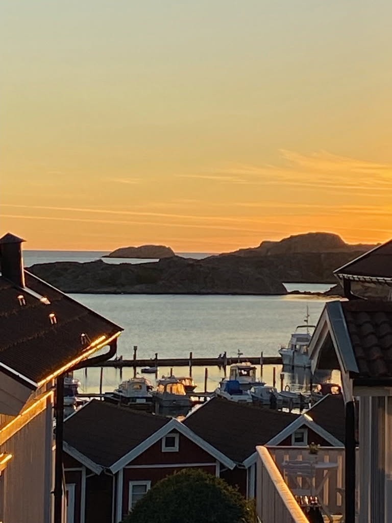 Säljarens sommarbild Galleribilde