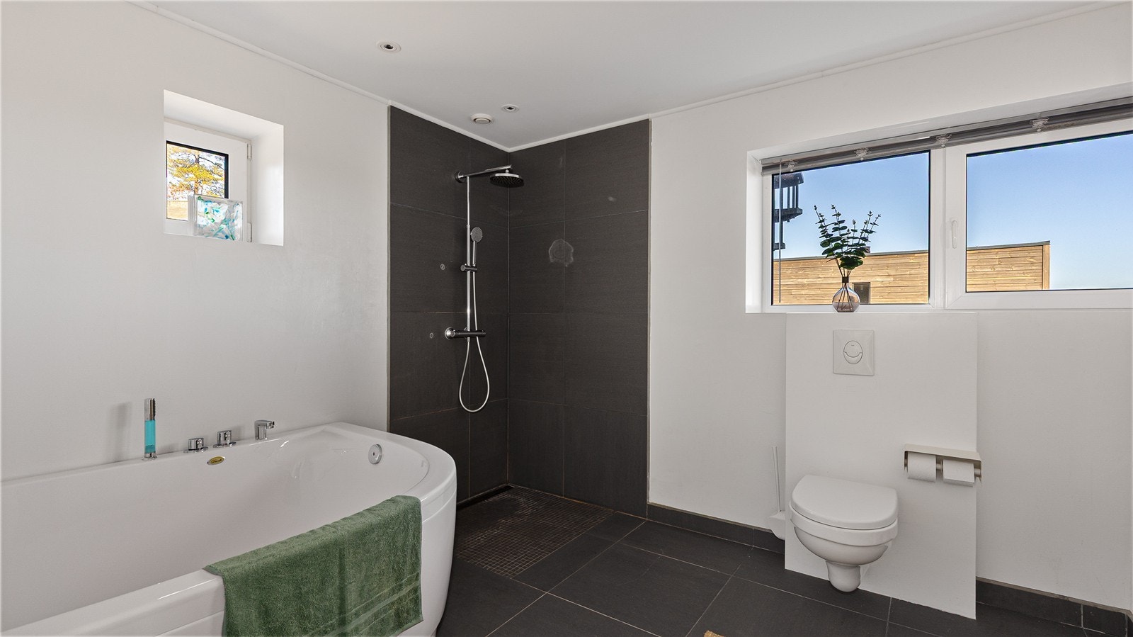 Både badekar og dusj Galleribilde