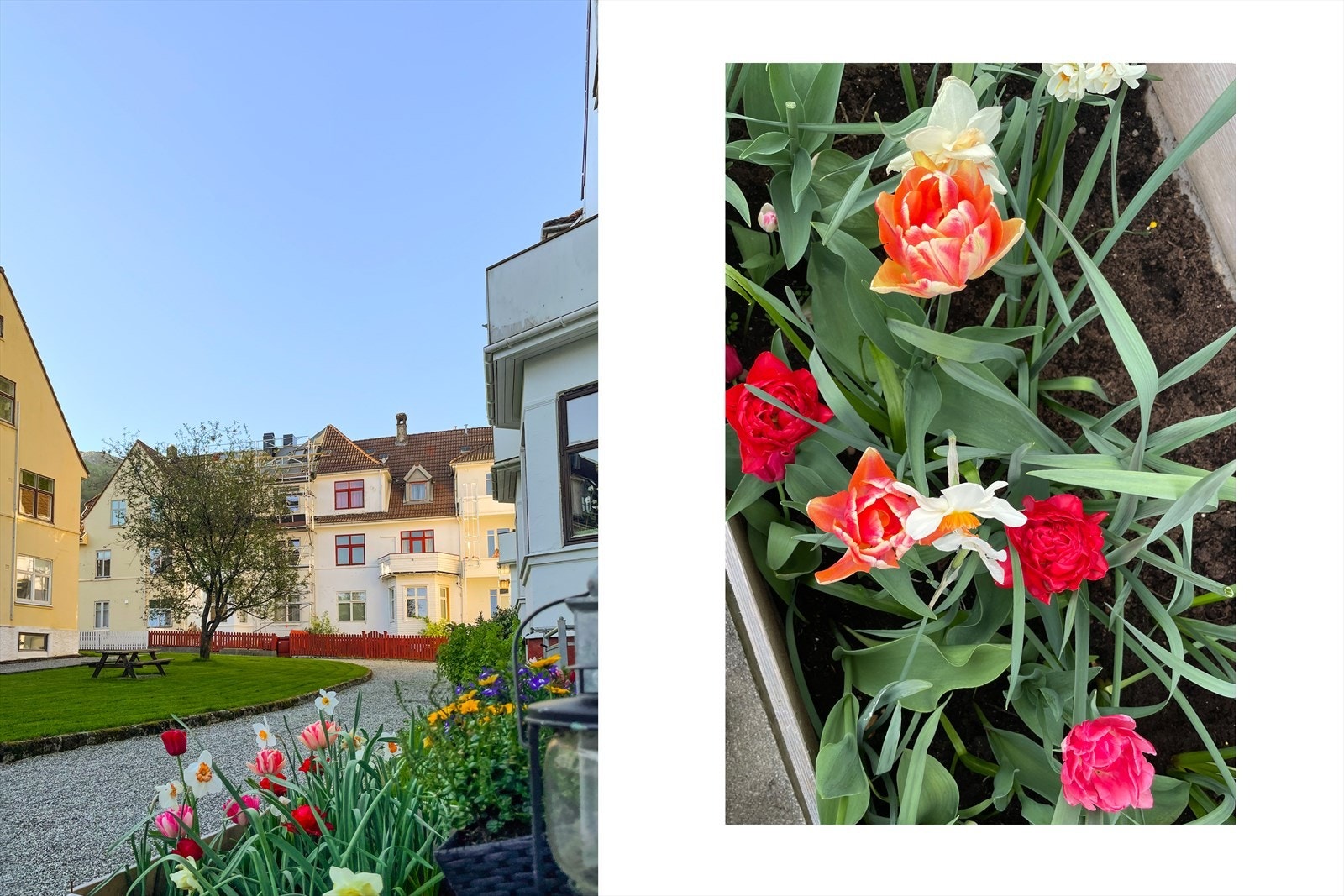 Flott opparbeidet grøntareal for lek og morro. Galleribilde