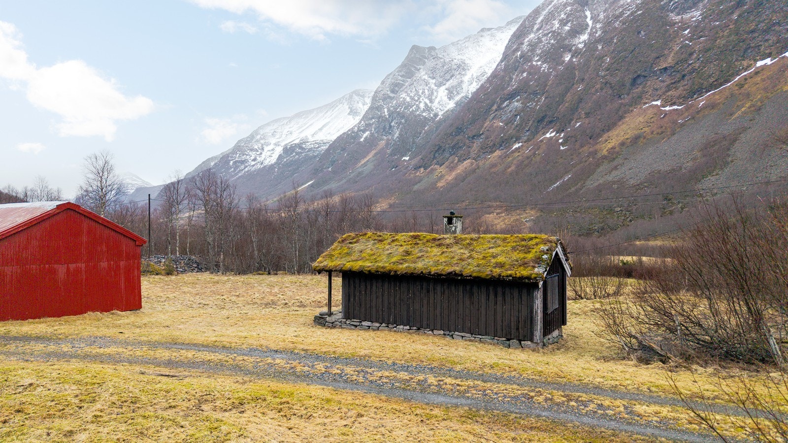 Område bak jakthytta Galleribilde