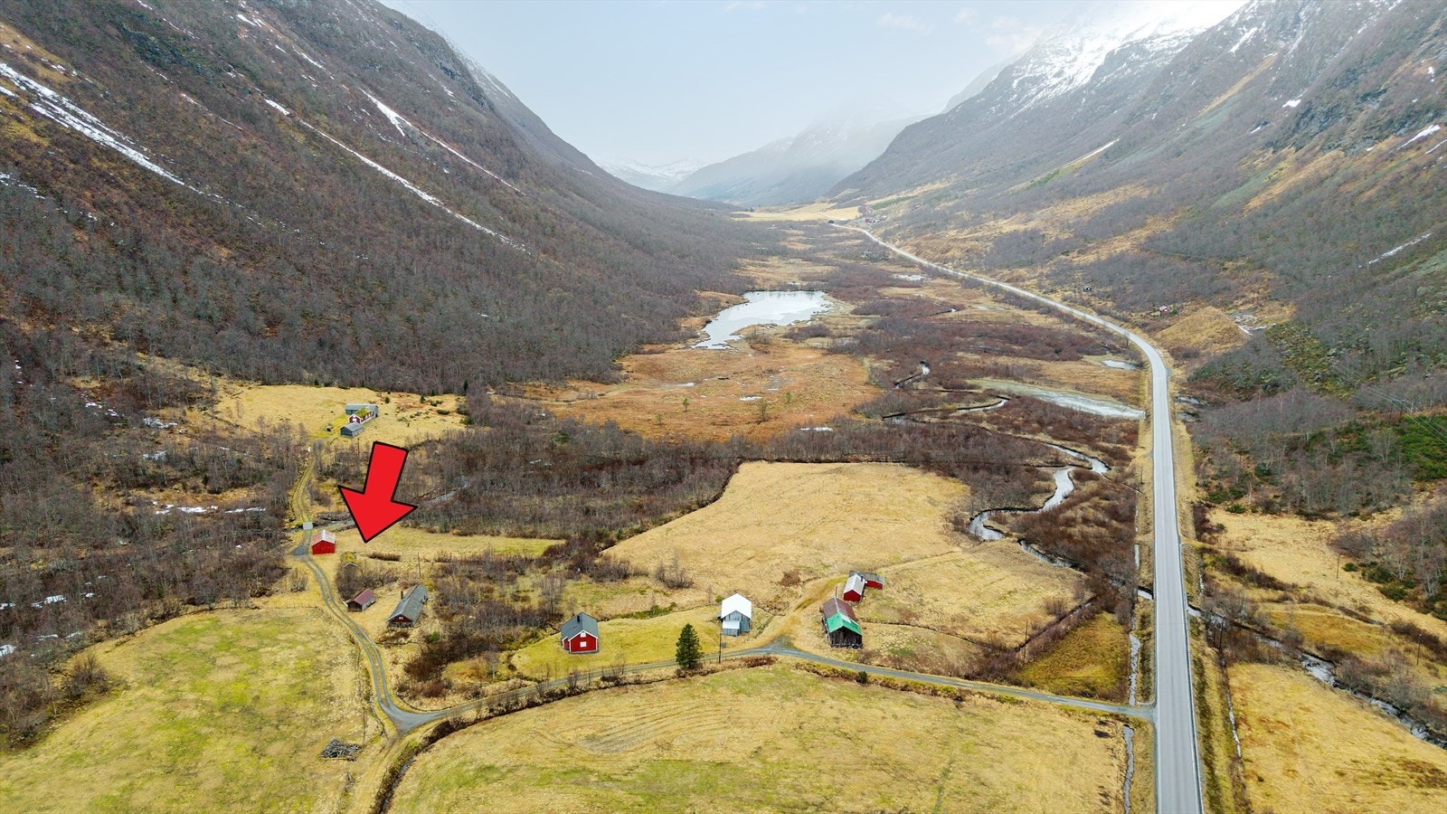 Nærområde nedover dalen Galleribilde