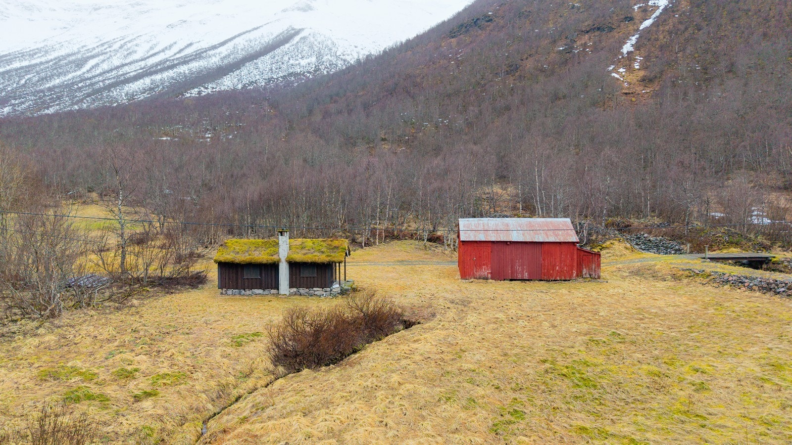 Tomteområde rundt hytta Galleribilde