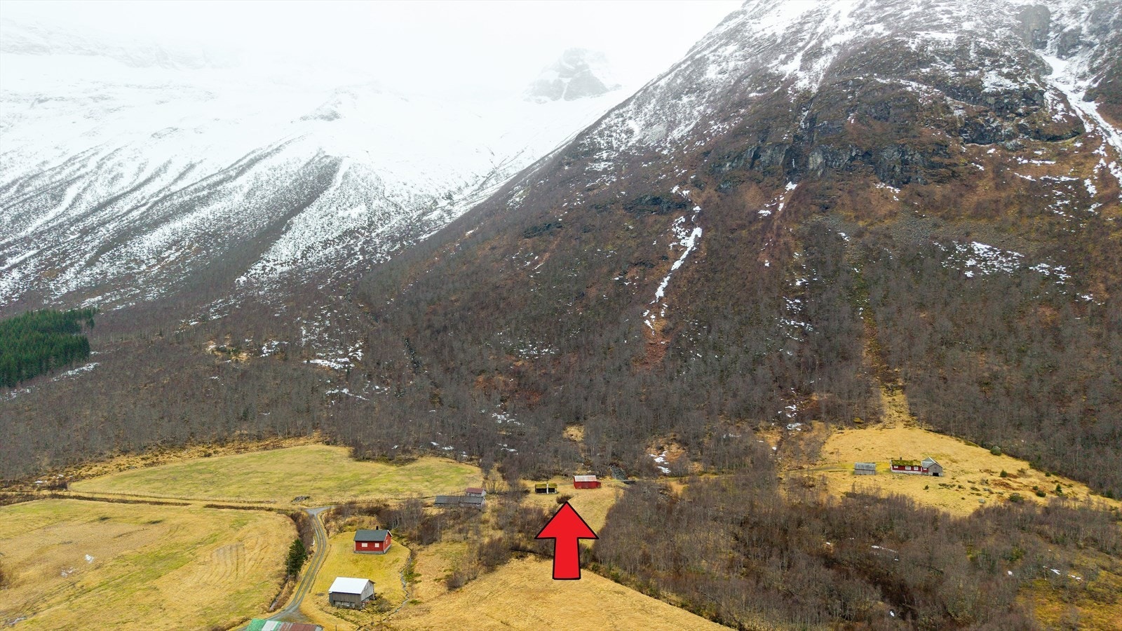 Nærområde Galleribilde