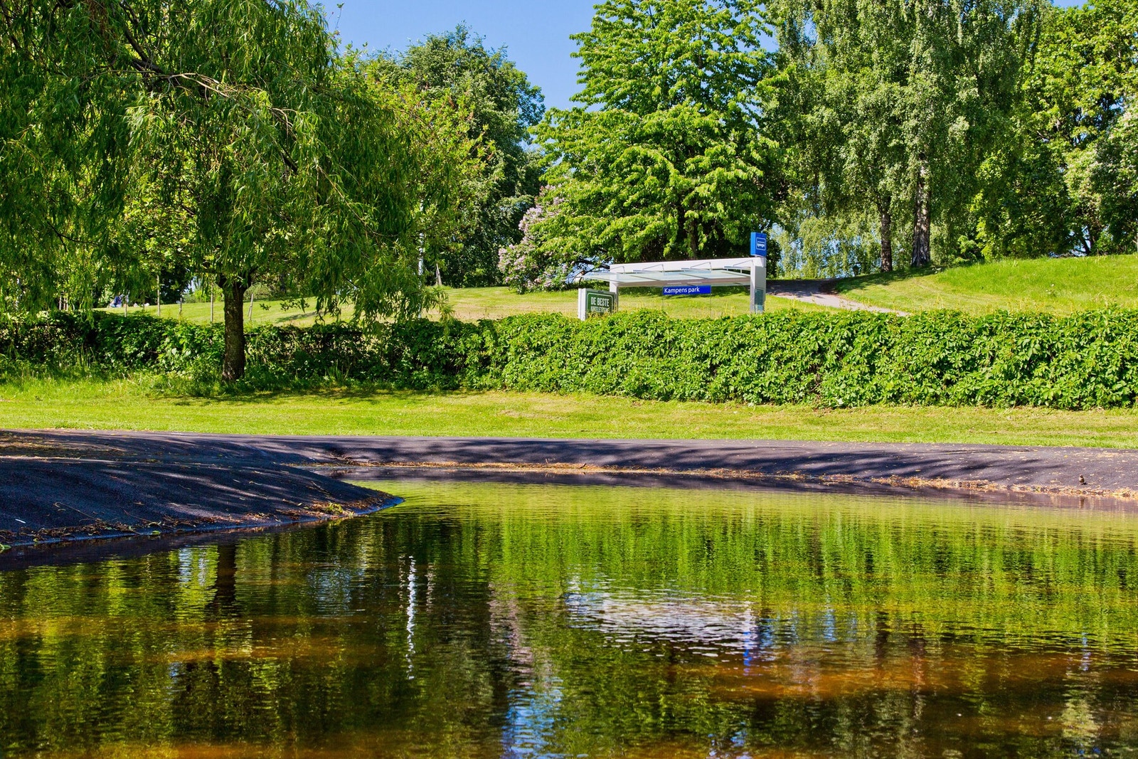 Nærområdet. Galleribilde