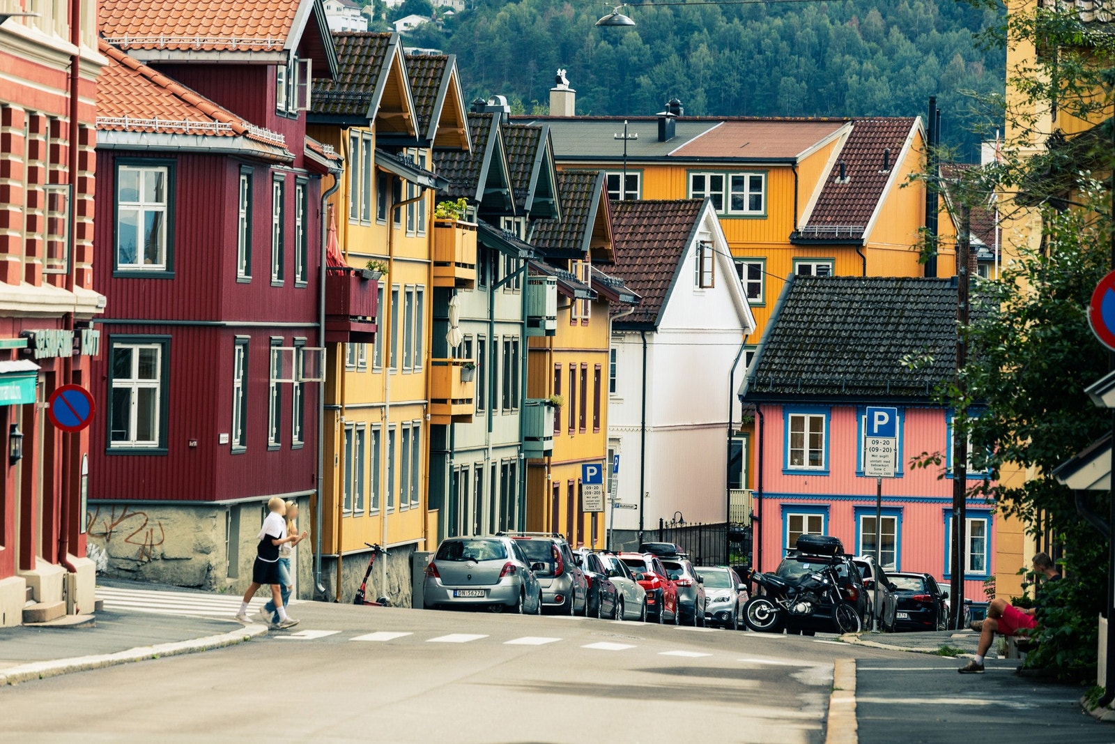 Nærområdet. Galleribilde