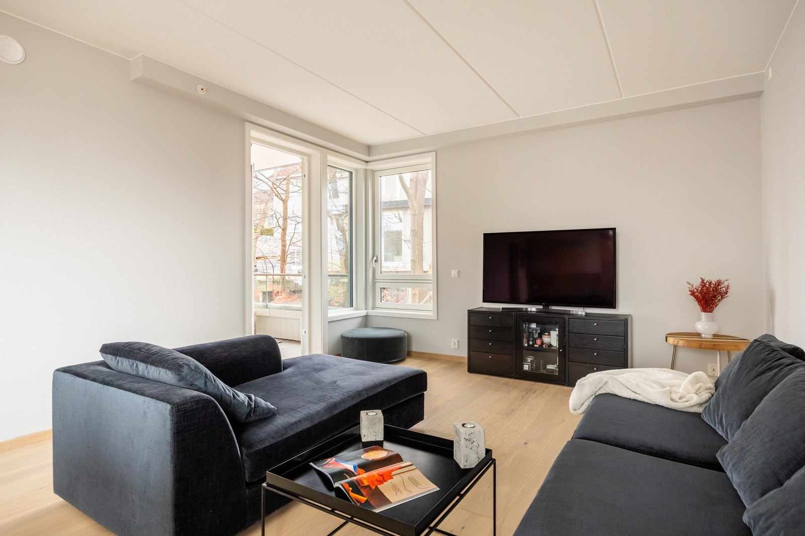 Det er god plass til sofagruppe, bord, stoler og tilhørende mediemøblement. Galleribilde