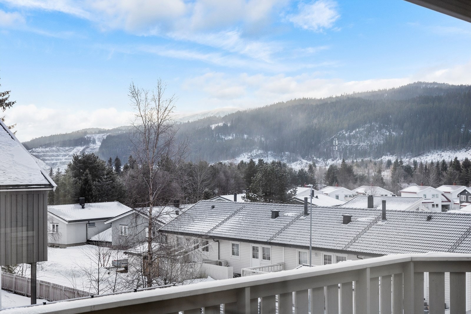 På ca. 10 minutter kommer du deg til Vassfjellet med alpinanlegg vinterstid, og turstier på sommeren. Galleribilde