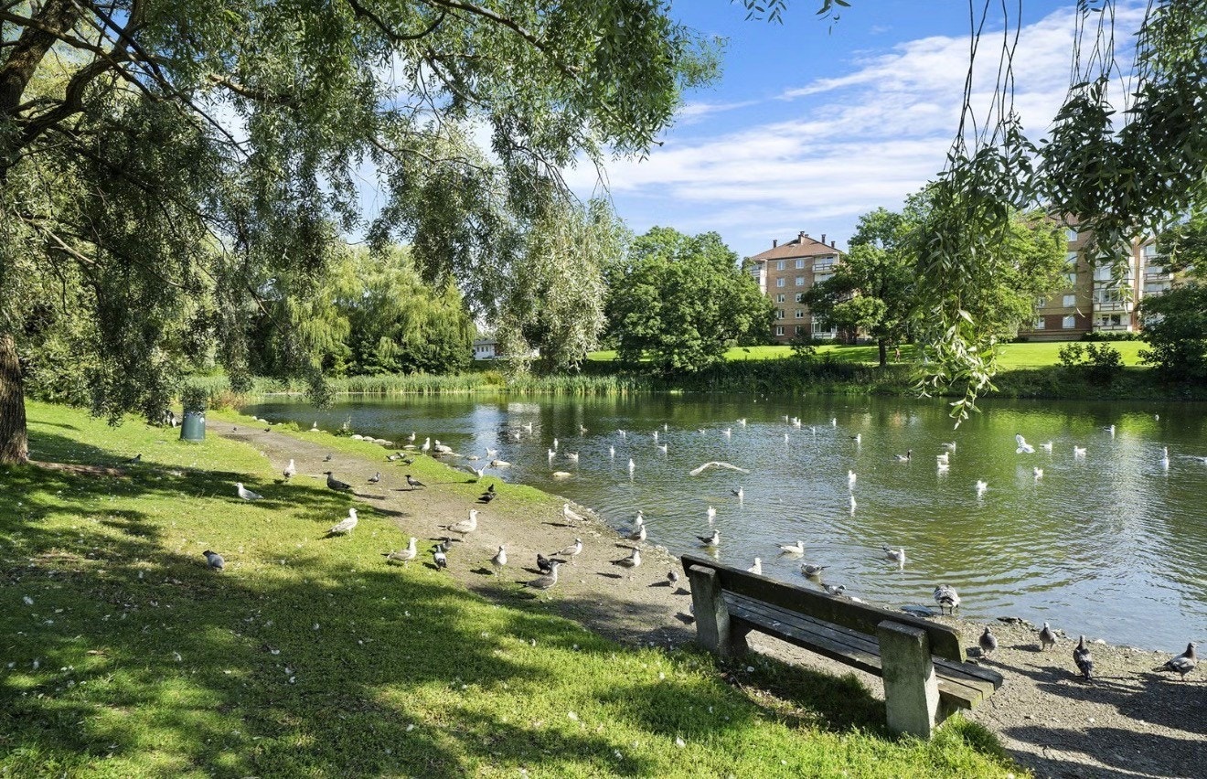 Gode turmuligheter i området. Galleribilde