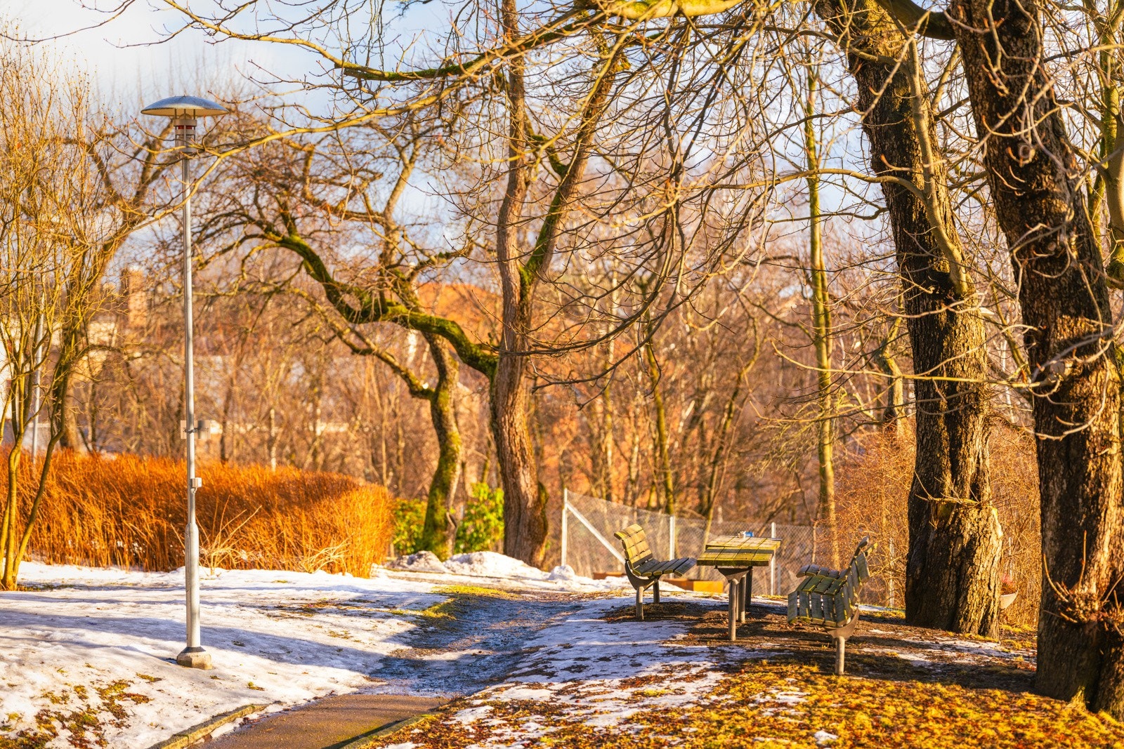 Her kan du nyte fine sommerdager i fordige omgivelser! Her vil du føle at du bor midt i en park. Galleribilde