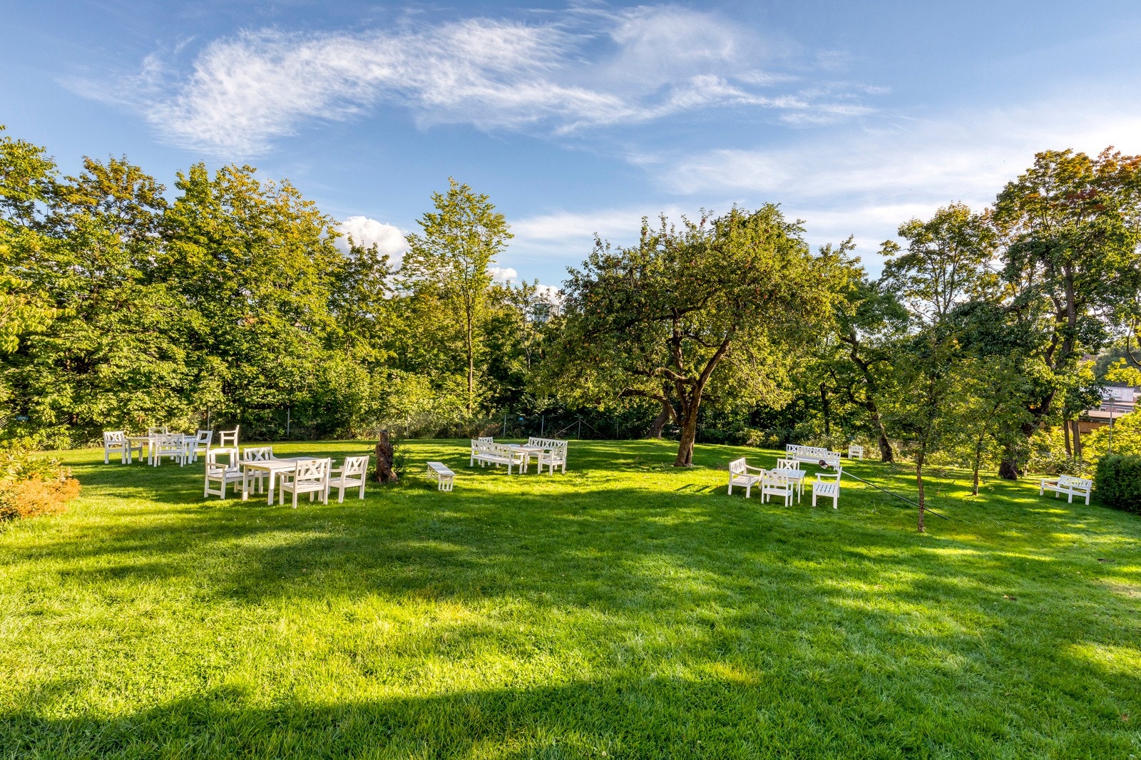 En fredet og over 100 år gammel frukthage som skaper en sjelden, grønn oase midt i byen. Galleribilde