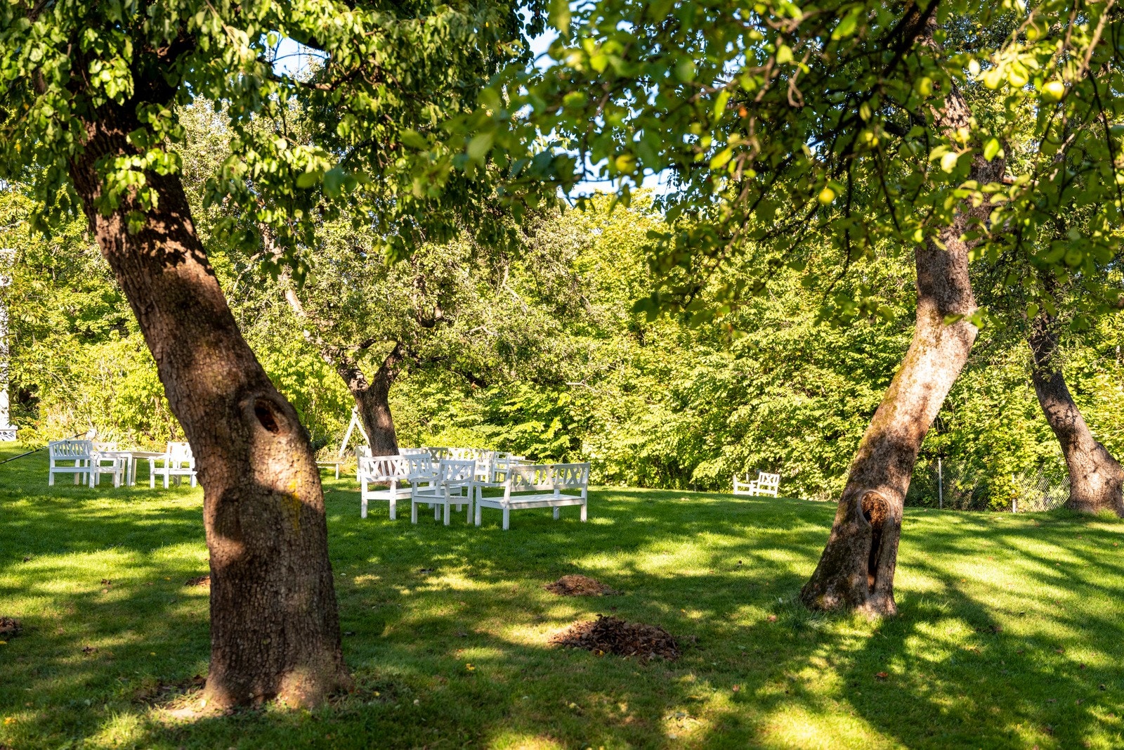 Anerkjent bakgårdshage med flere sittegrupper på sommerstid. Galleribilde