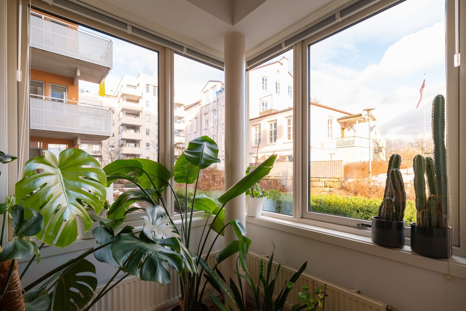 Fine vindusflater fra flere himmelsretninger. Galleribilde