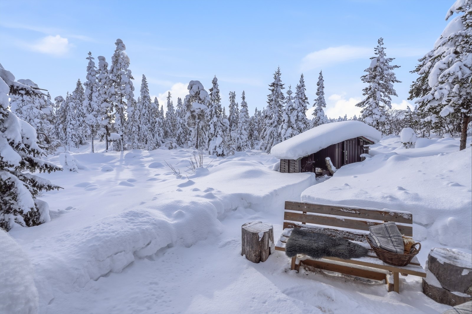 Frittstående utebod (behov for vedlikehold/oppgradering). Galleribilde