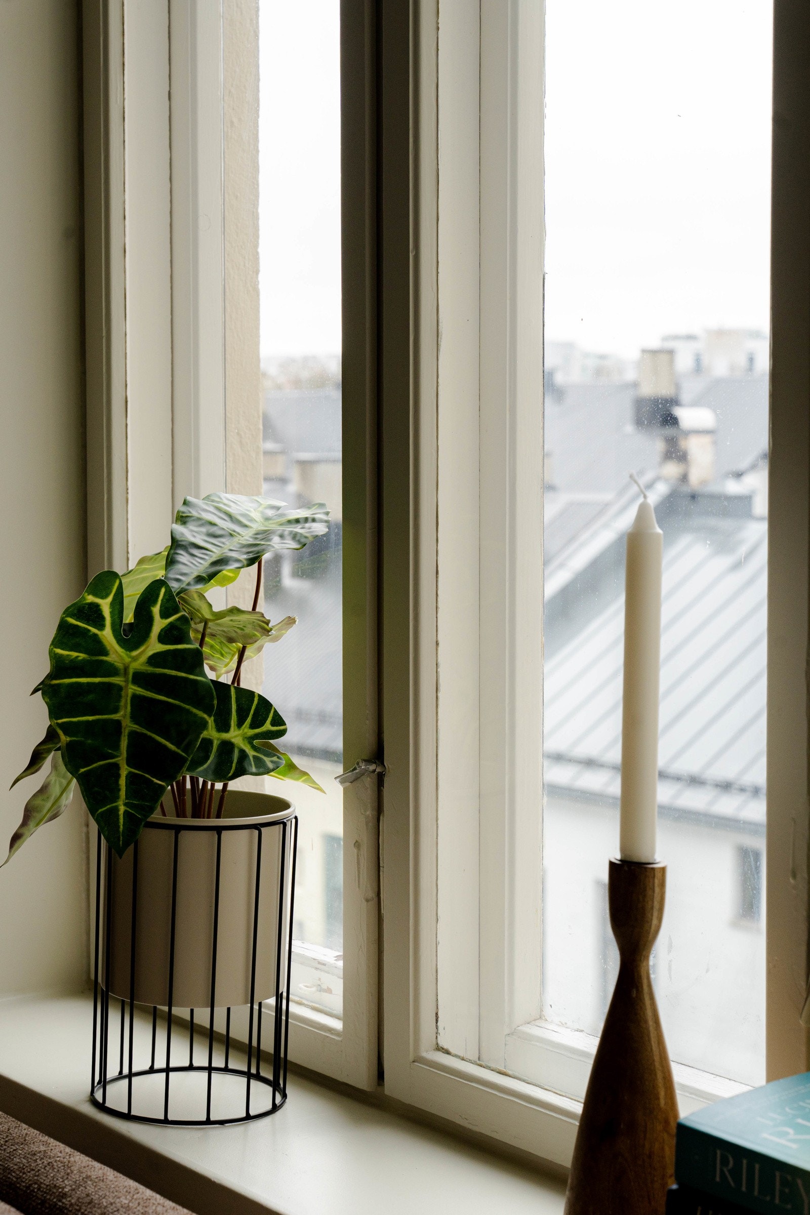 Boligen vender mot en rolig bakgård Galleribilde