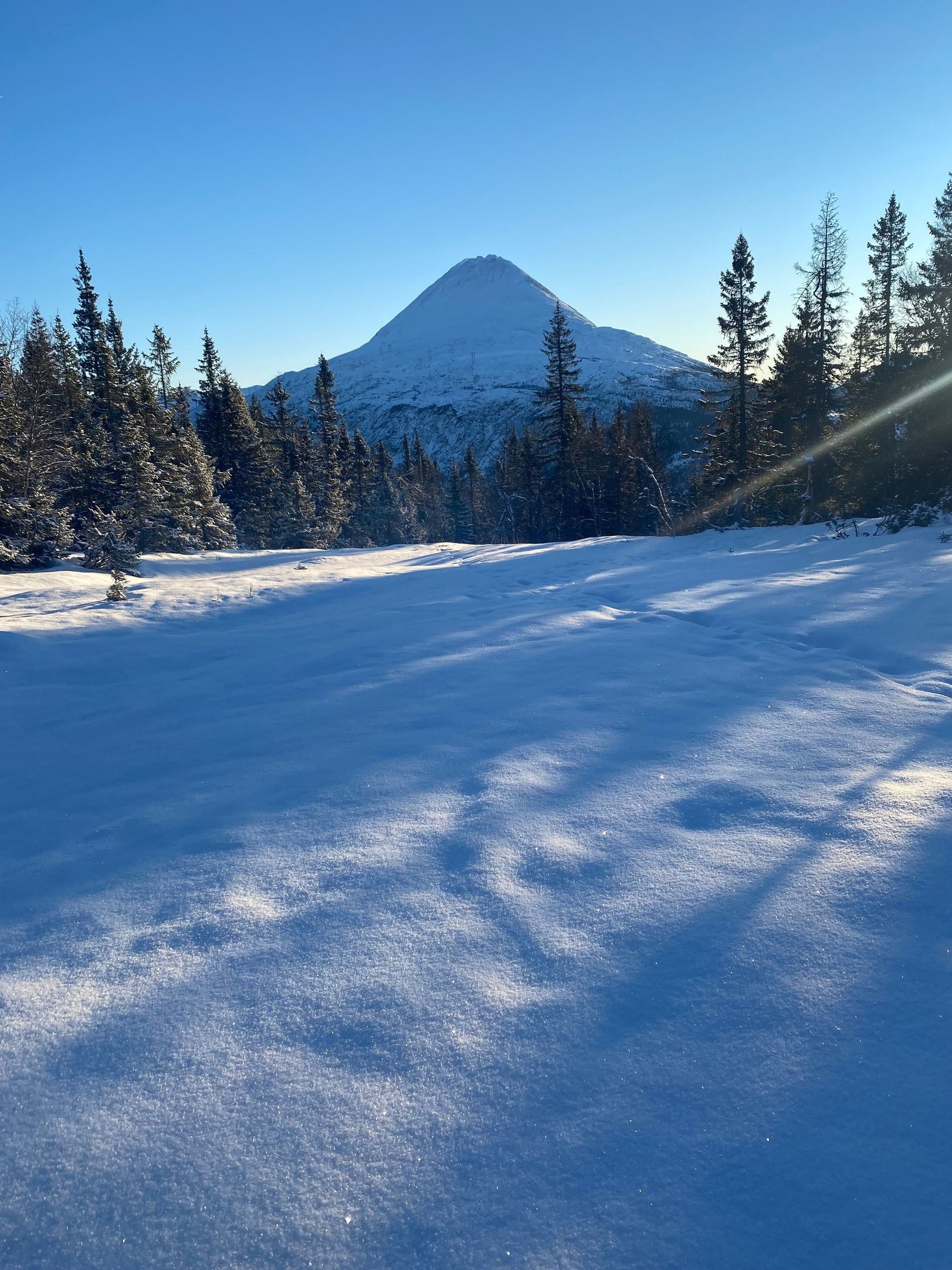 På skuter til stølen om vinteren. Fikk skuter løyve i 2022 men har ikke brukt skuter men om man vil går det sikkert bra å fornye Galleribilde
