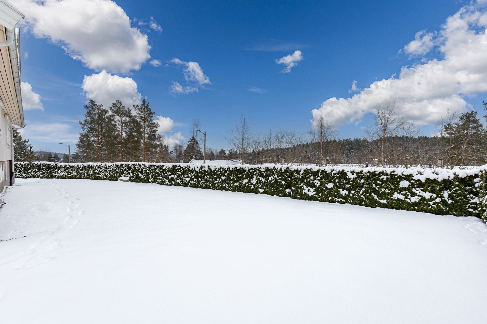 Hagen er pent opparbeidet med gressplen og hekk rundt hagedelen på husets sørside. Galleribilde