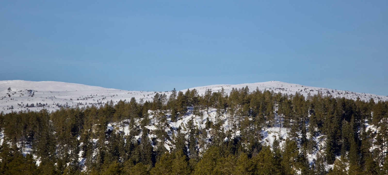 Utsikt mot Store Ble og Krøkla toppen fra stuevinduet. Galleribilde