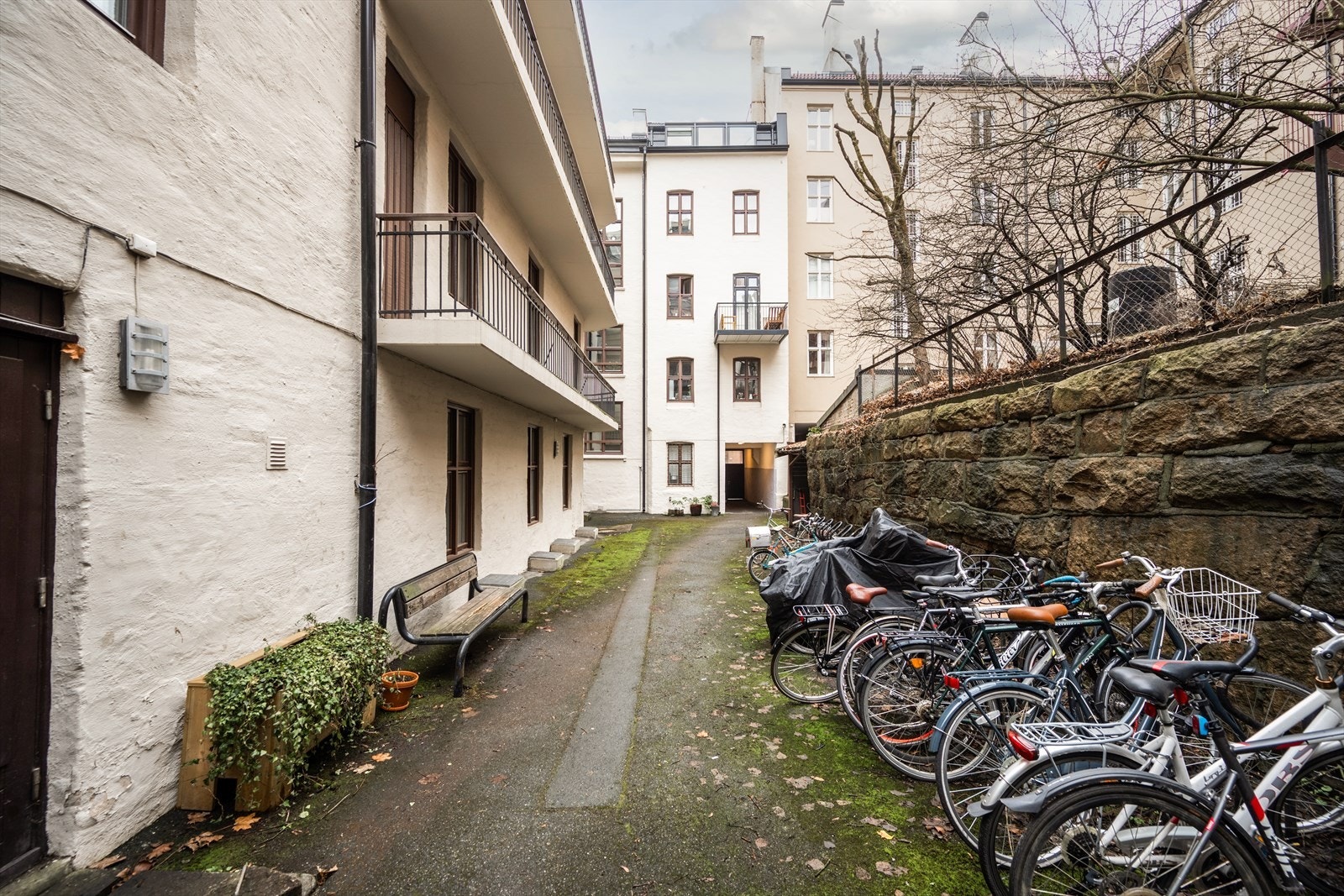 Hyggelige fellesarealer med sittebenker og sykkelparkering. Galleribilde
