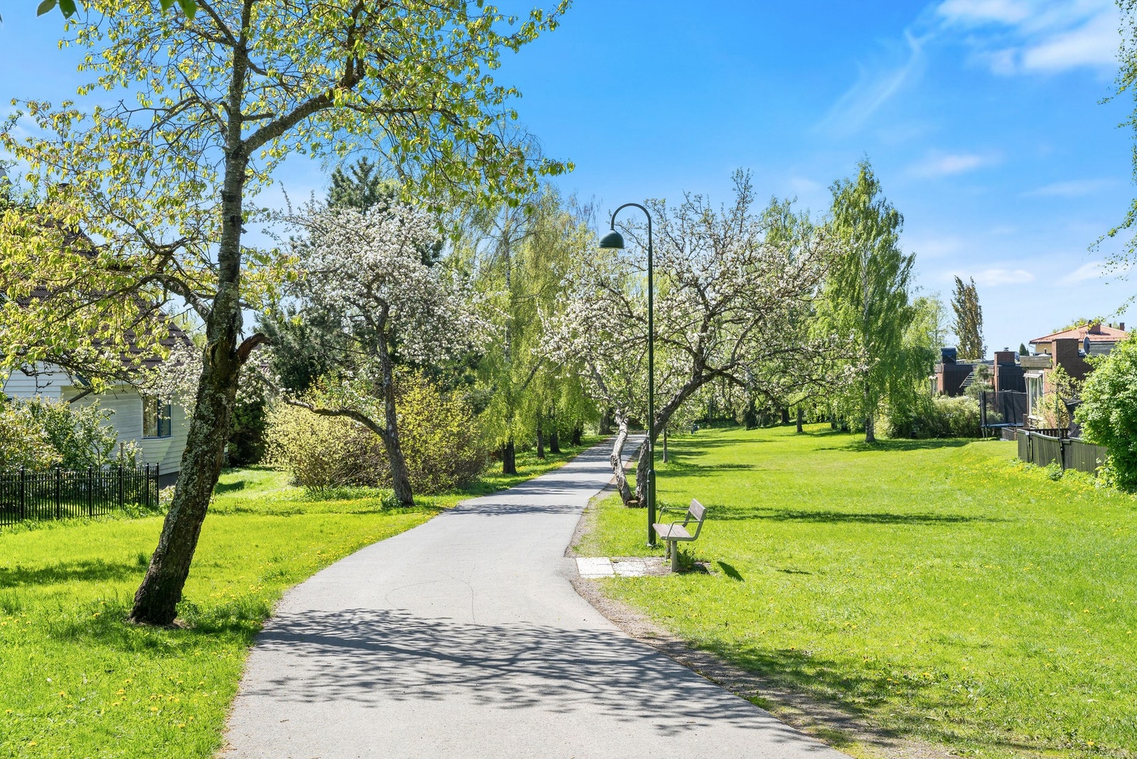 Området har flere grønne lunger du kan nyte på søndagsturen Galleribilde