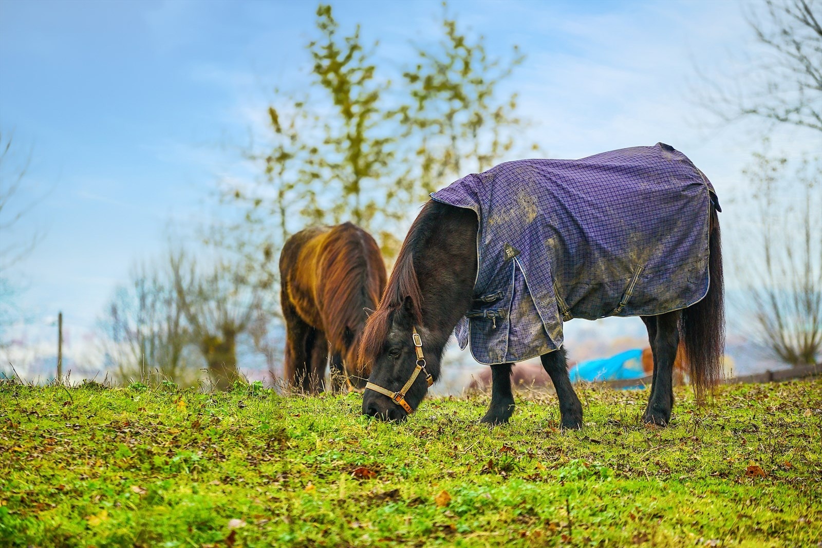 Tveten gård er et historisk gårdsanlegg med røtter fra før vikingtiden, og et av de best bevarte tunene i Oslo. I dag er gården et sosialt og kulturelt møtested med kafé, aktivitetstilbud for alle aldre og arrangementer som markeder og familiedager. Galleribilde