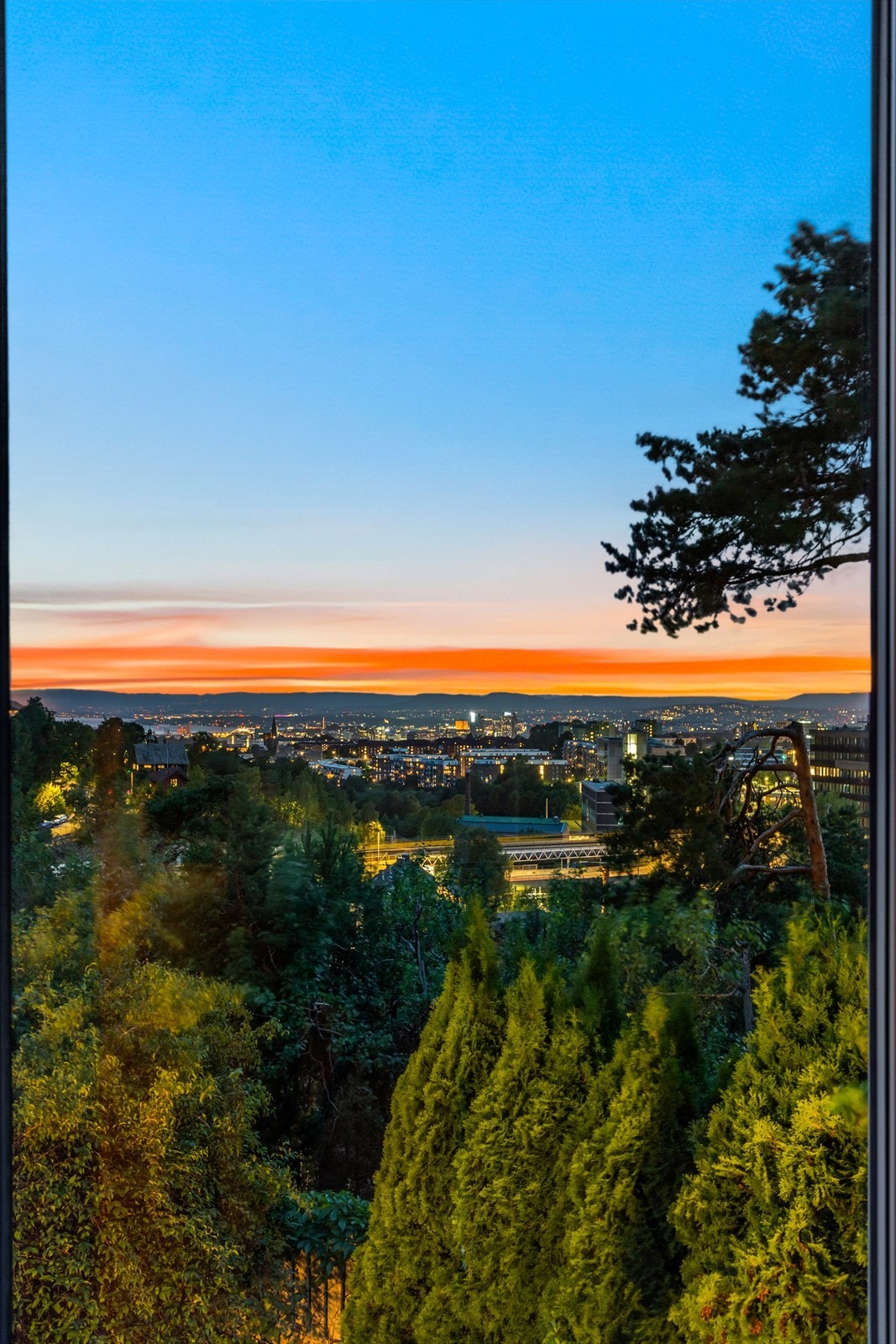 Detalj. Galleribilde