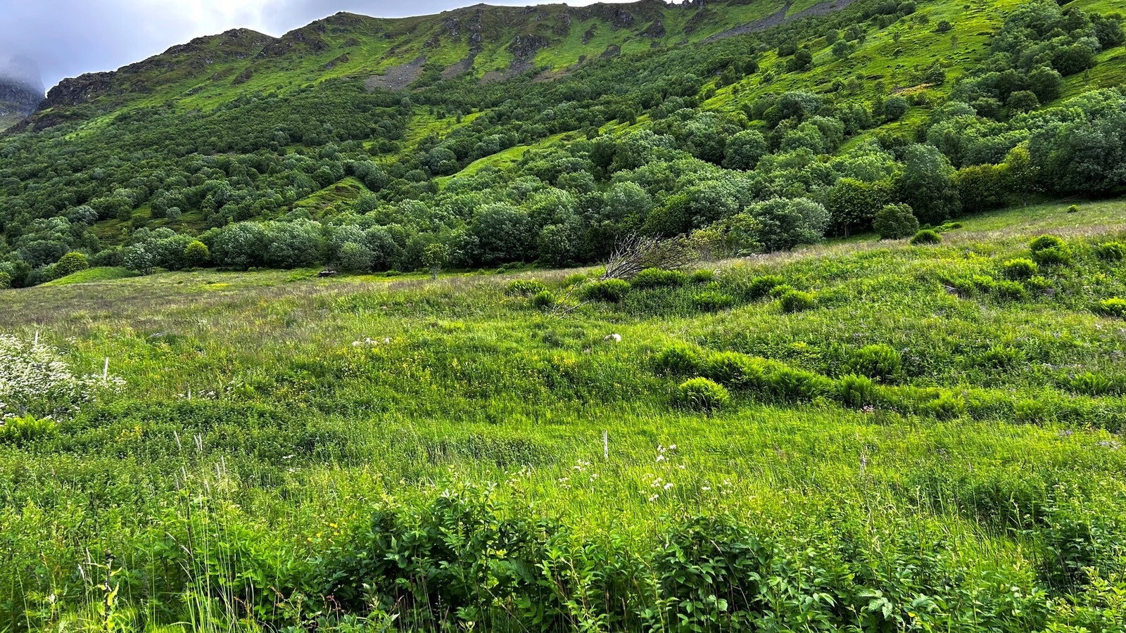 Bilde fra selger. Galleribilde