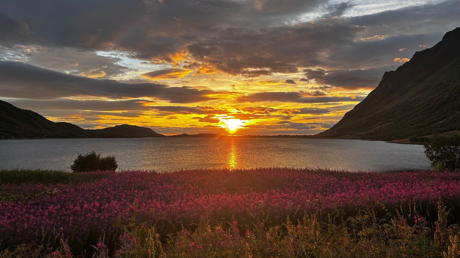 Bilde fra selger. Galleribilde