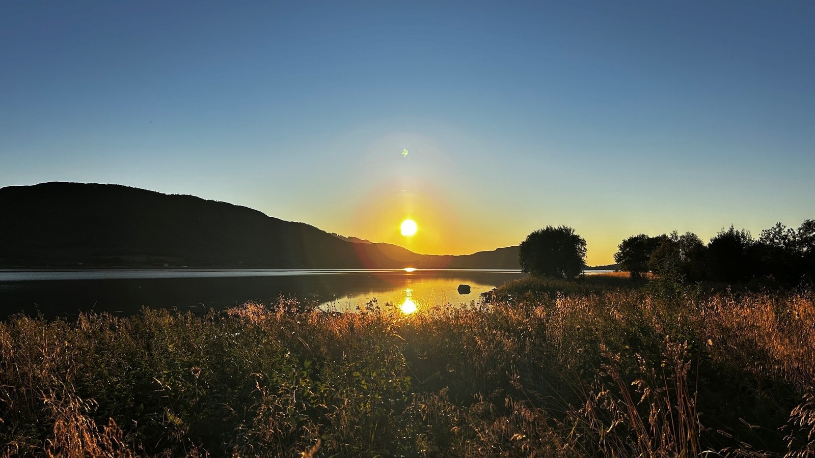 Bilde fra selger. Galleribilde